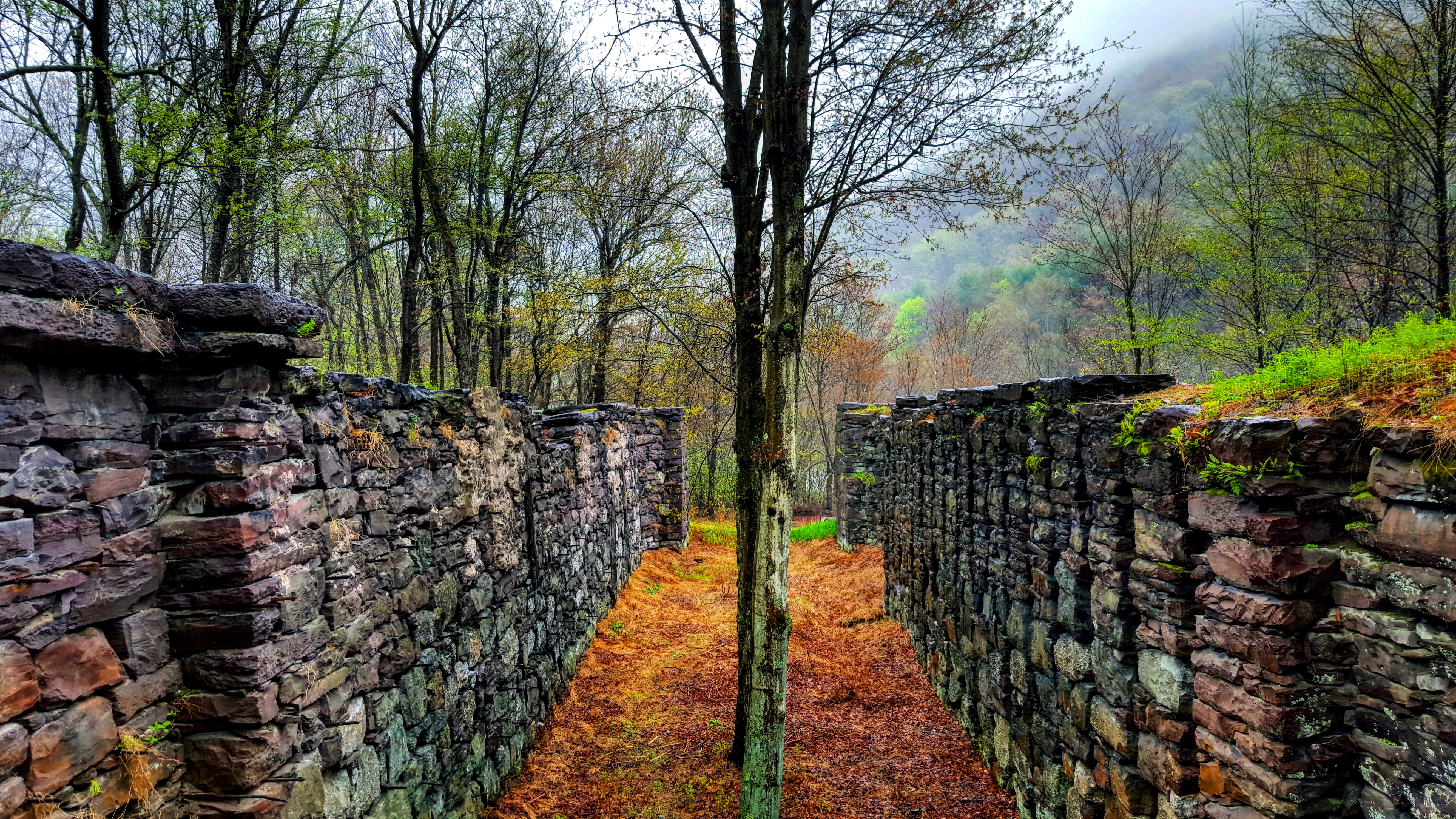 Bike the Lehigh Gorge Trail: Lock #2