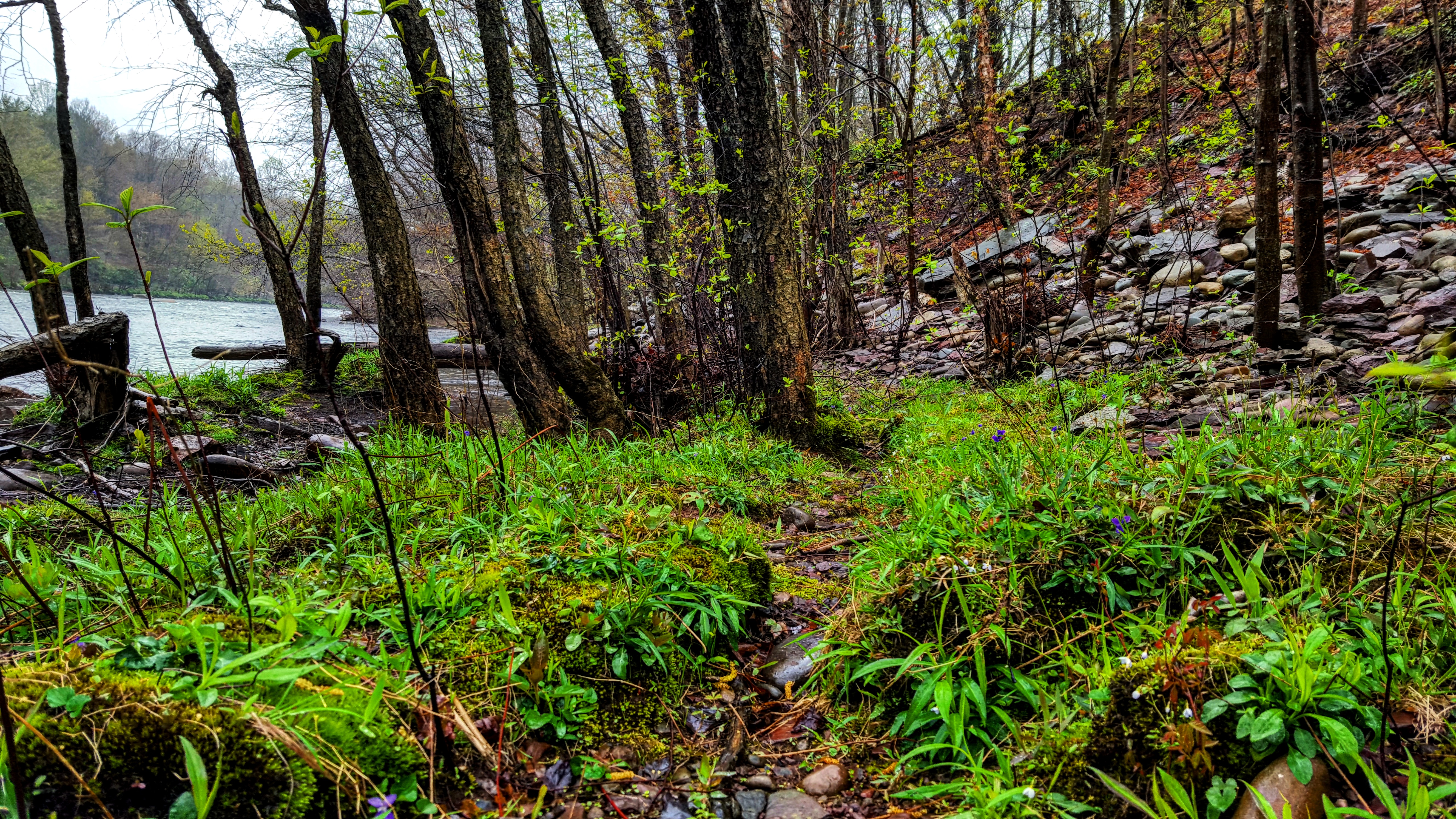 Bike the Lehigh Gorge Trail: Lock #2