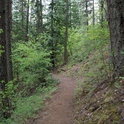 Hike the Mickinnick Trail