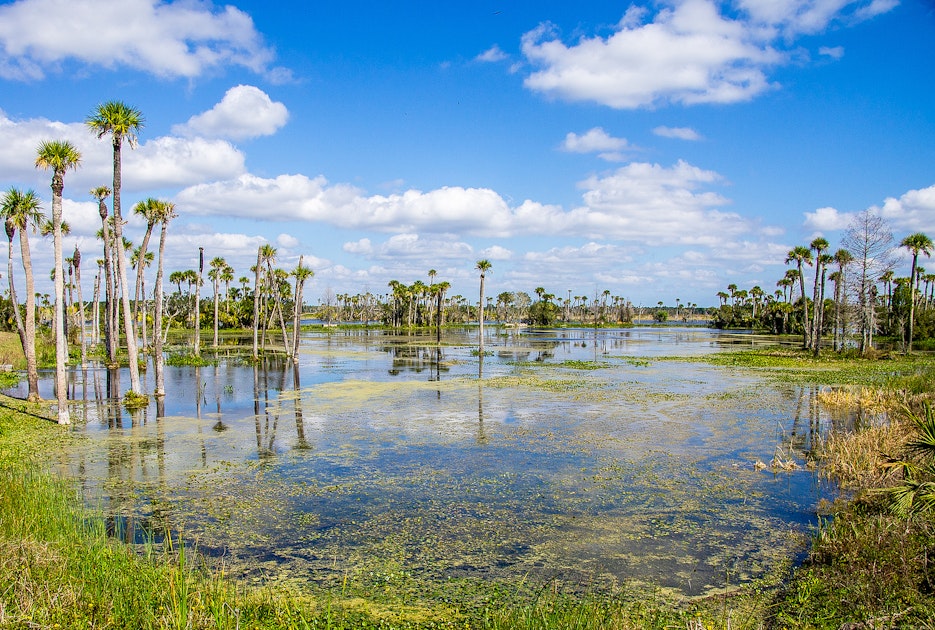 Hike the Orlando Wetlands Loop, Orlando Wetlands Parking