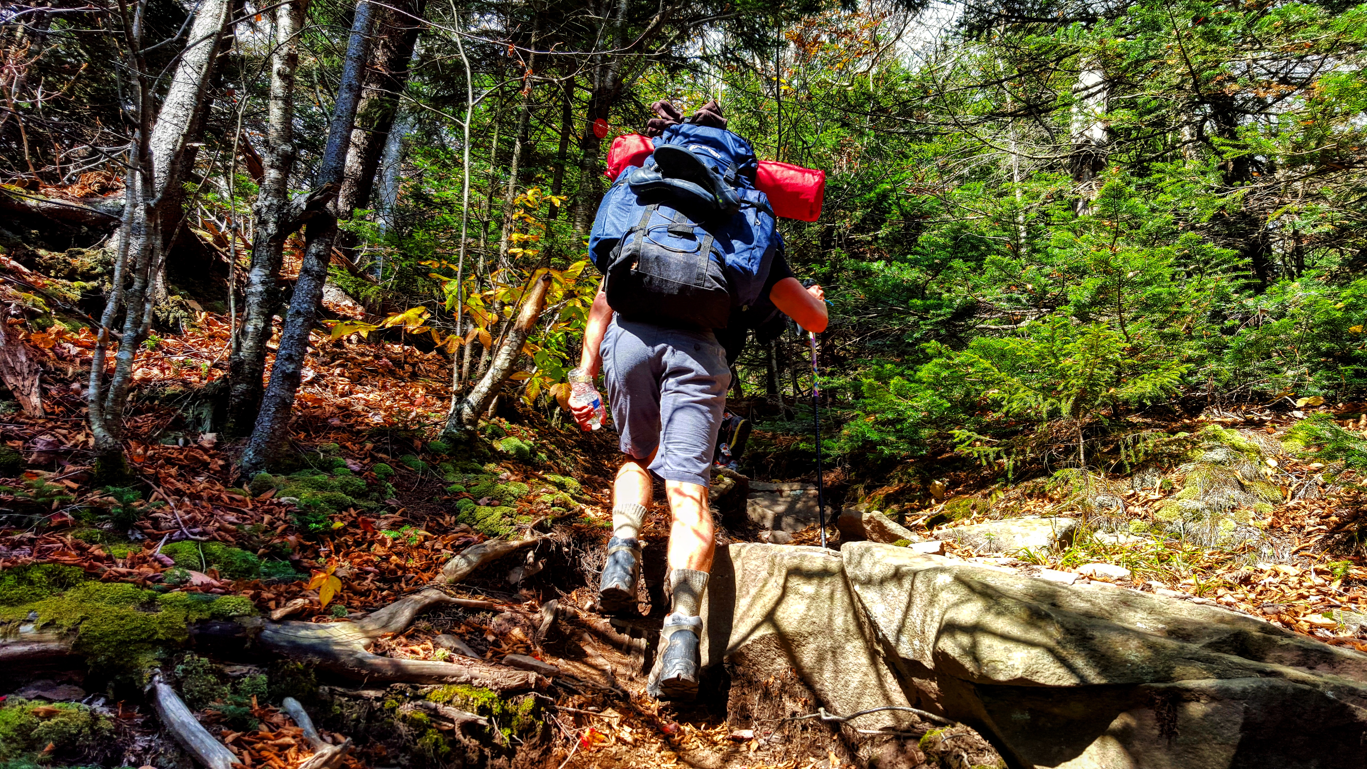 Devil's Path to Devil's Tombstone