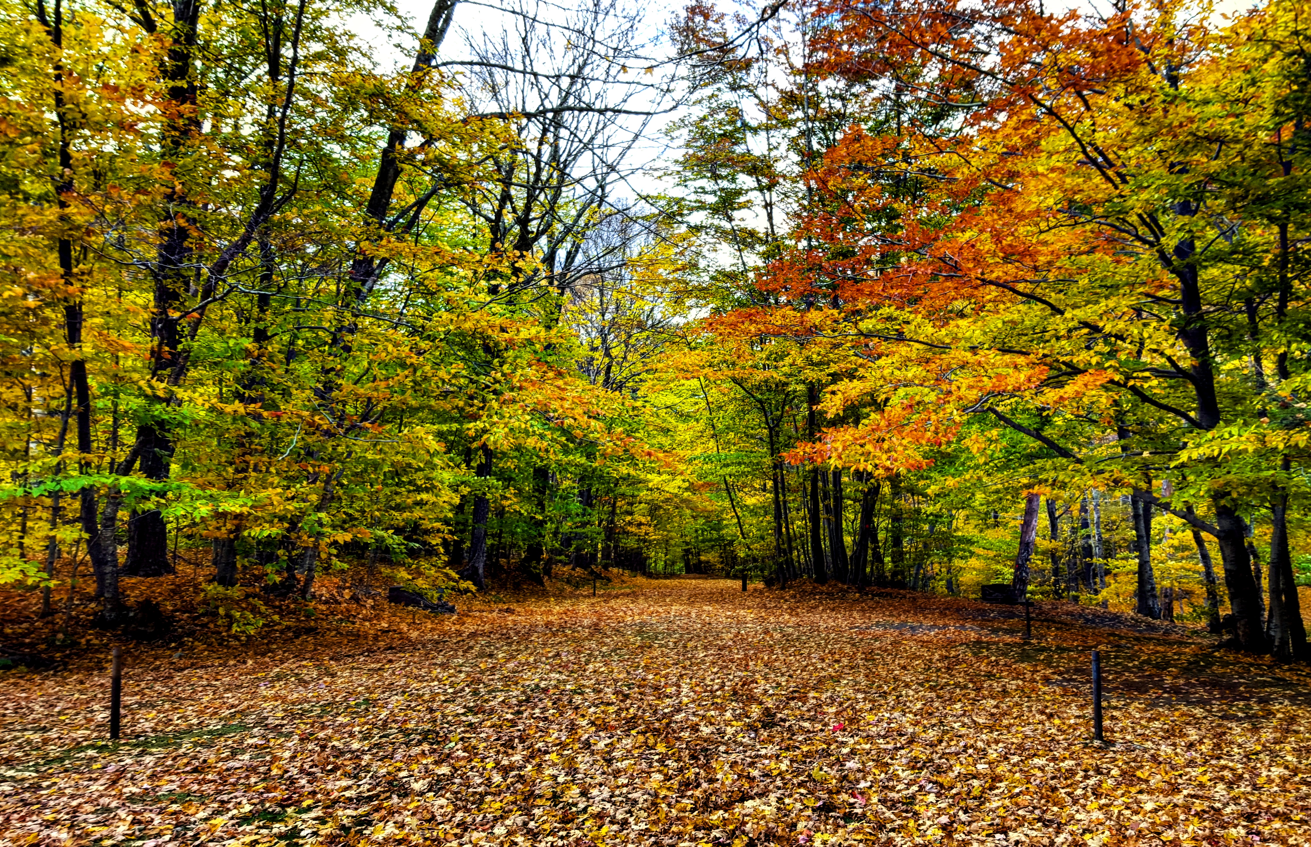 Devil's Path to Devil's Tombstone