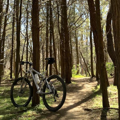 Mountain Bike in Stillwell Woods Park, New York