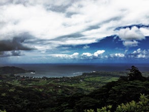 Scramble the Okolehao Ridge Trail