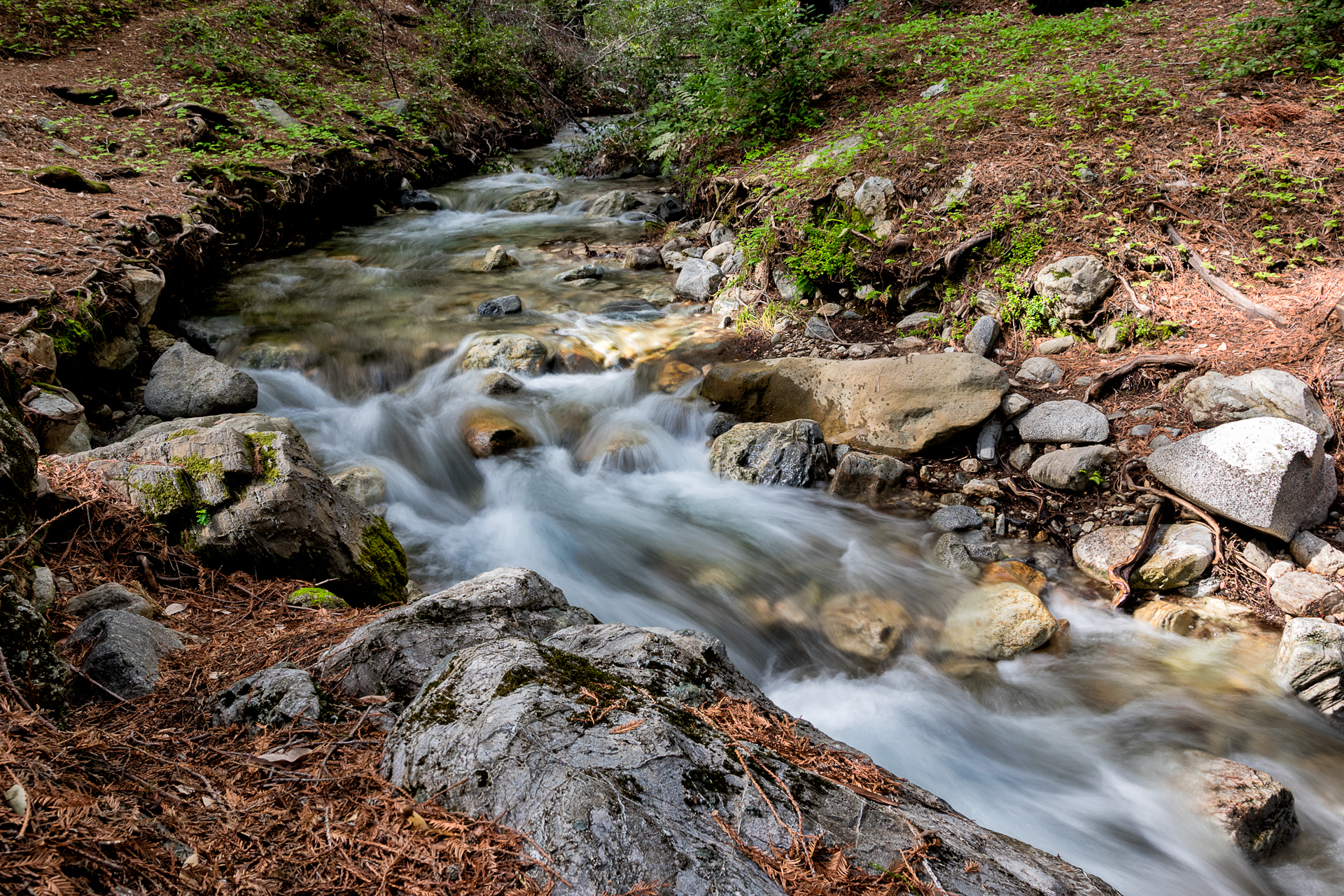 Pine Ridge, North Coast Ridge Loop