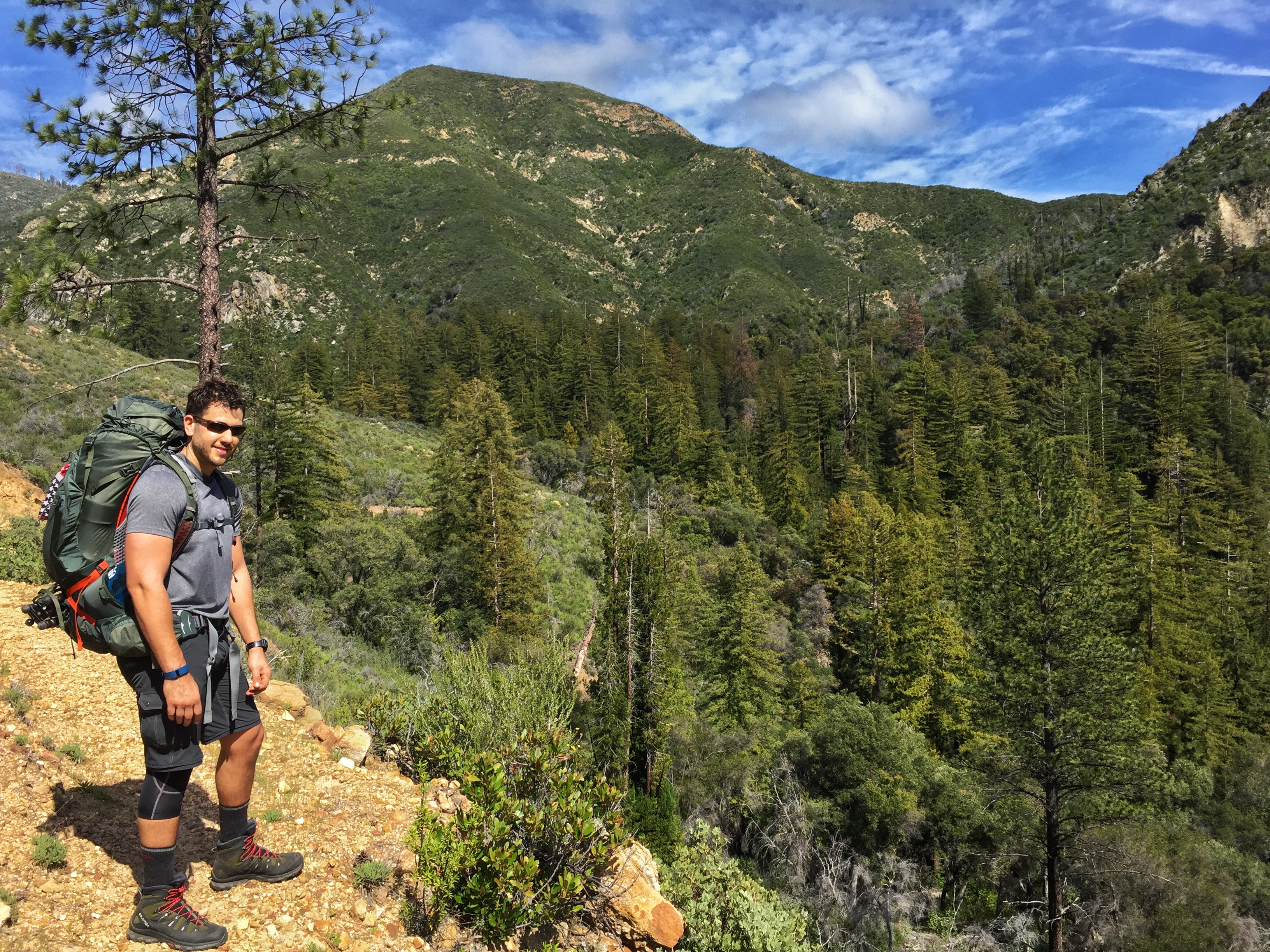 Pine Ridge, North Coast Ridge Loop