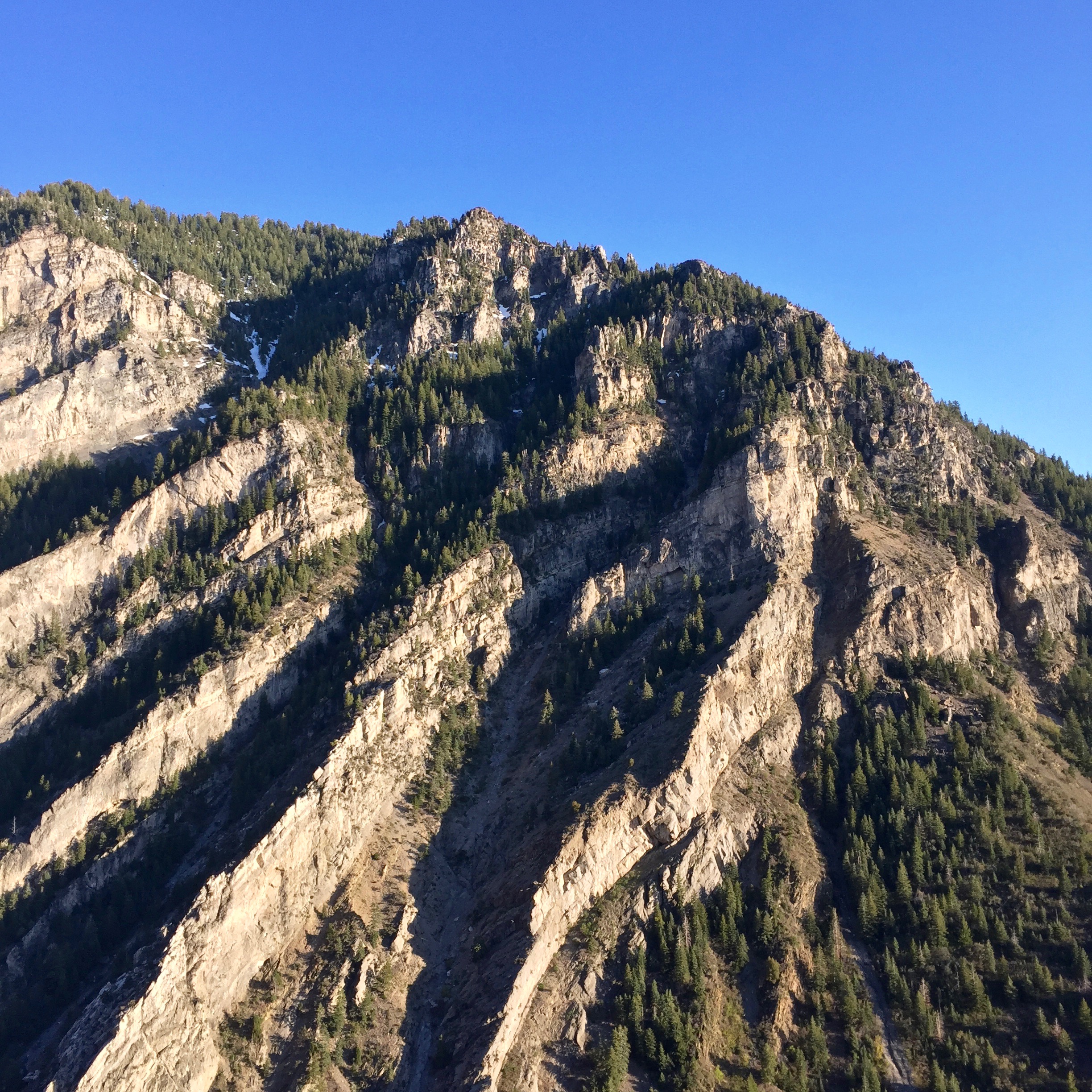 Hike to Buckley's Abandoned Mine