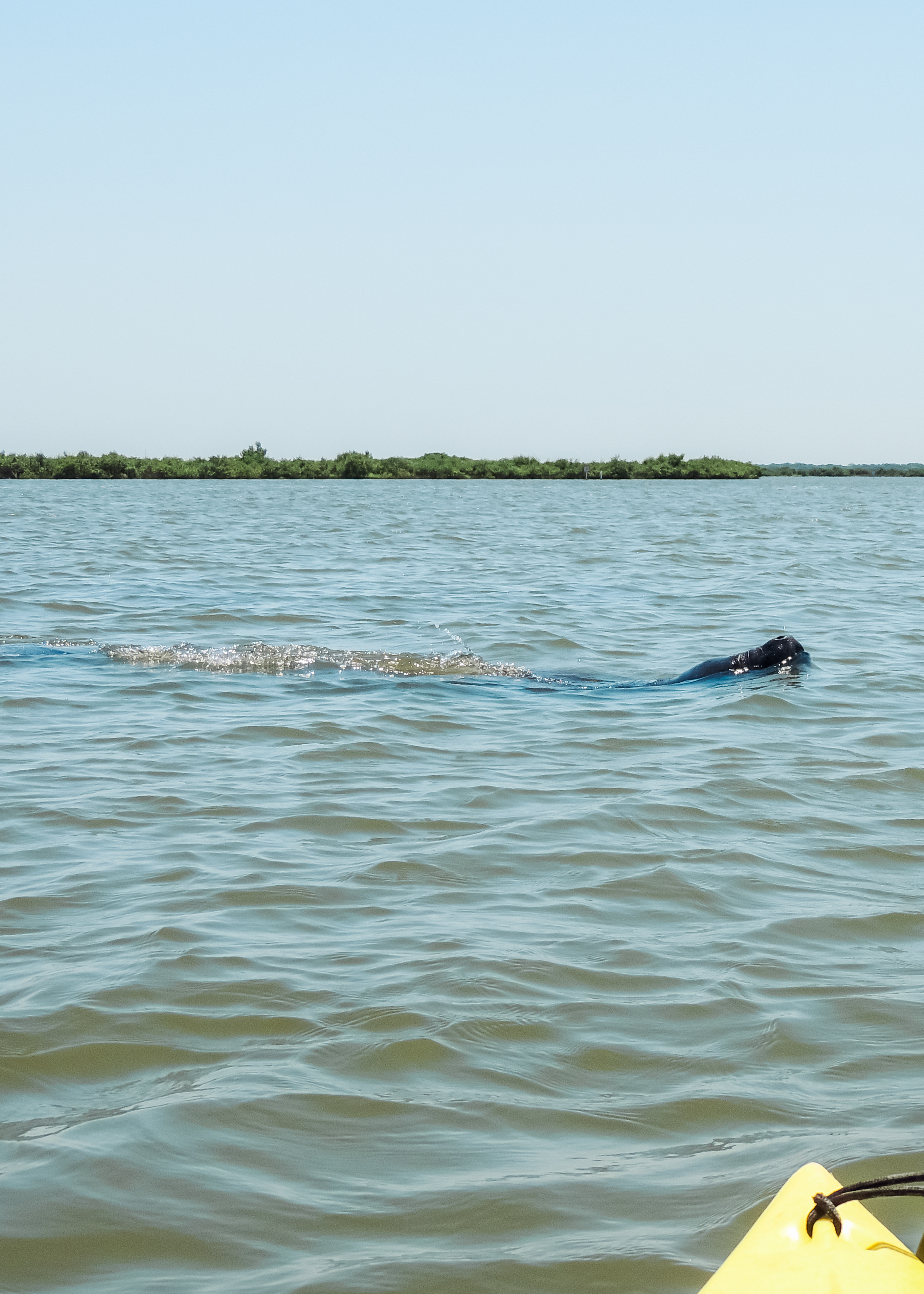 Kayak Camp in Canaveral National Seashore