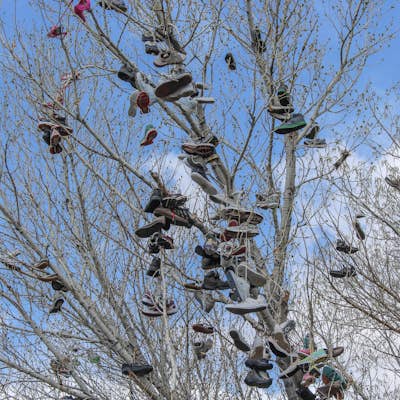 Visit the Shoe Tree of Middlegate
