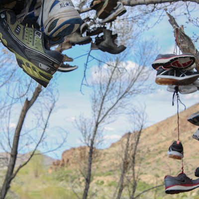 Visit the Shoe Tree of Middlegate