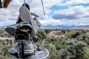 Visit the Shoe Tree of Middlegate