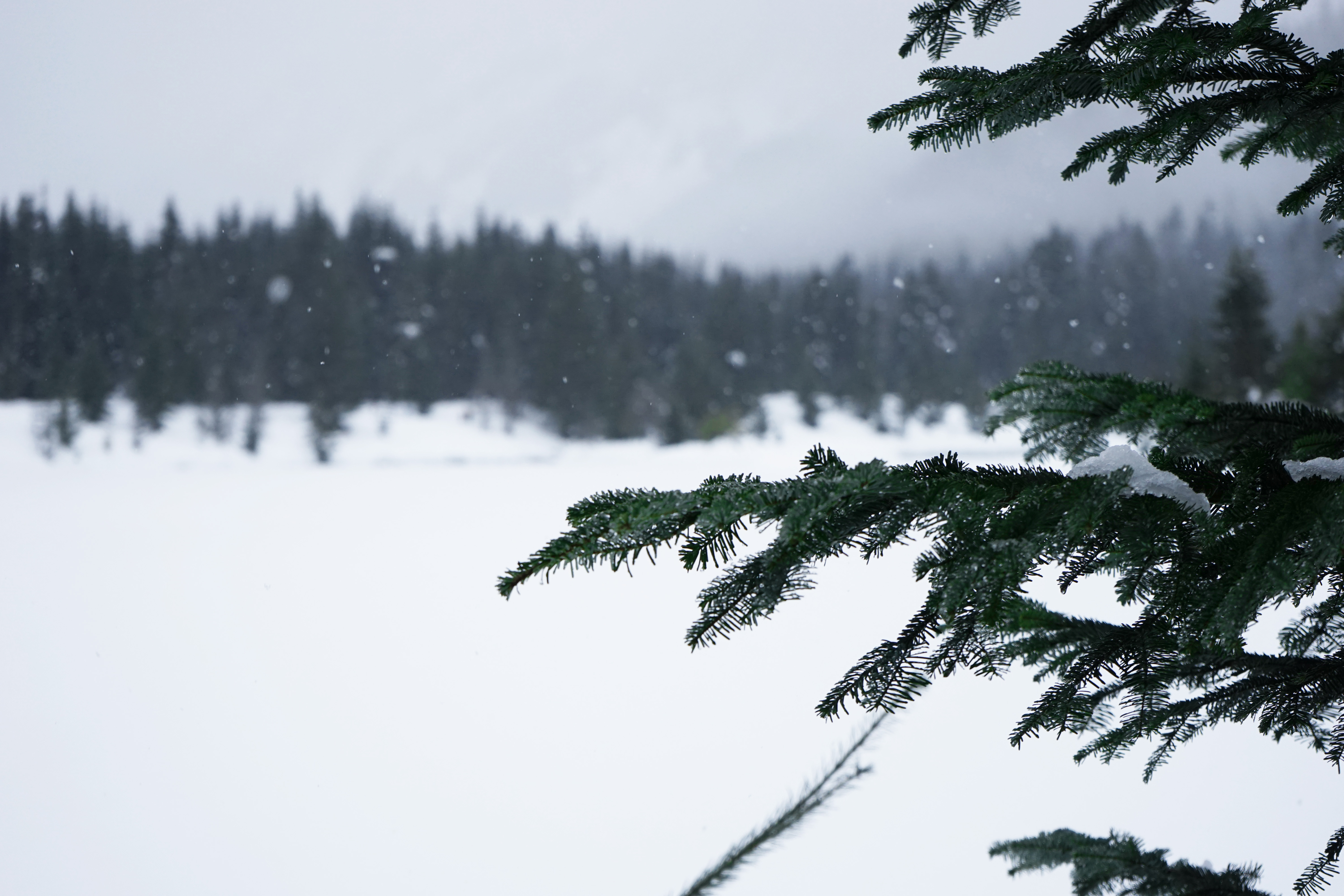 Gold Creek Pond (Snowshoe Route)
