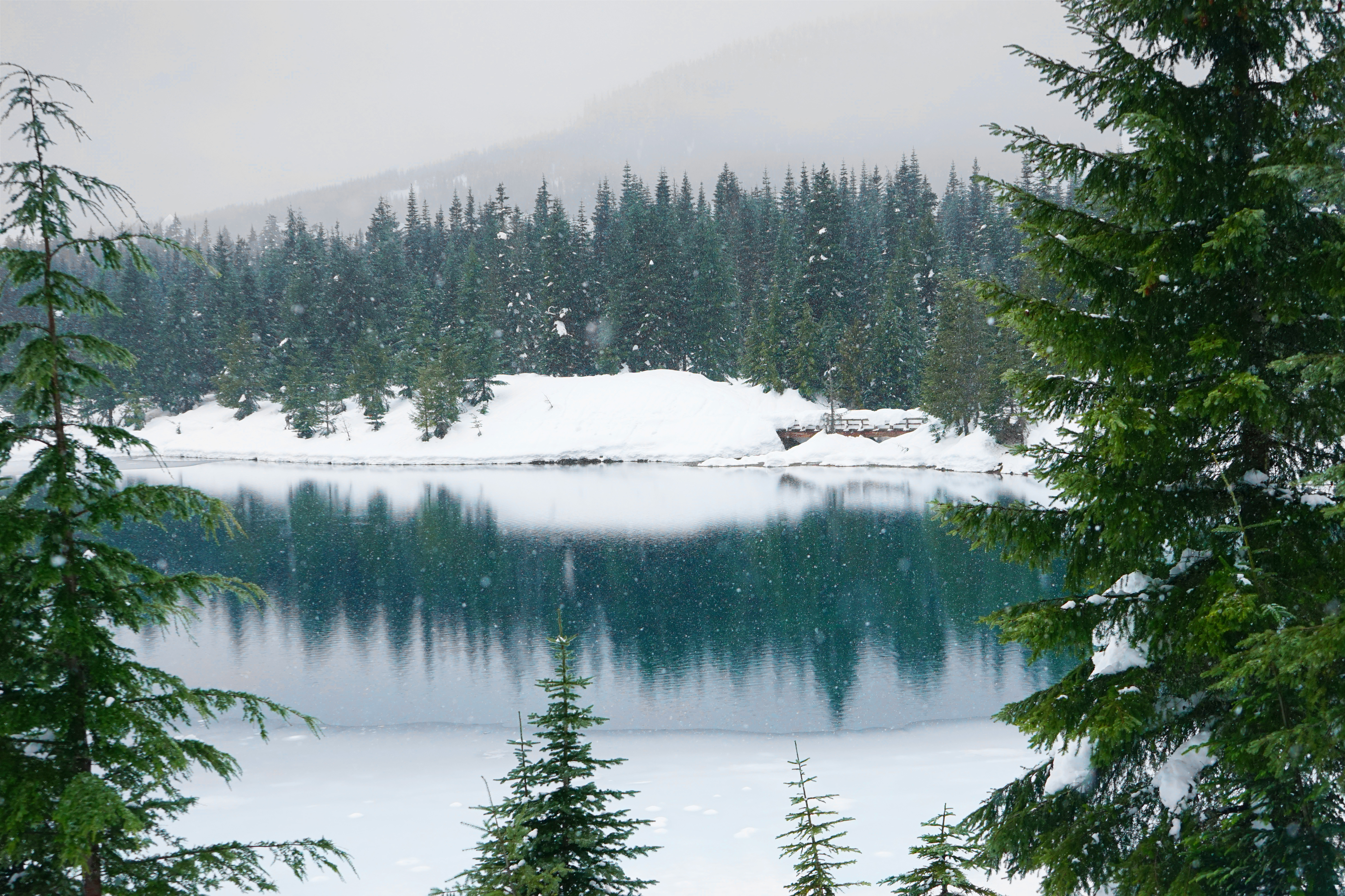 Gold Creek Pond (Snowshoe Route)