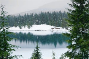 Snowshoe Gold Creek Pond