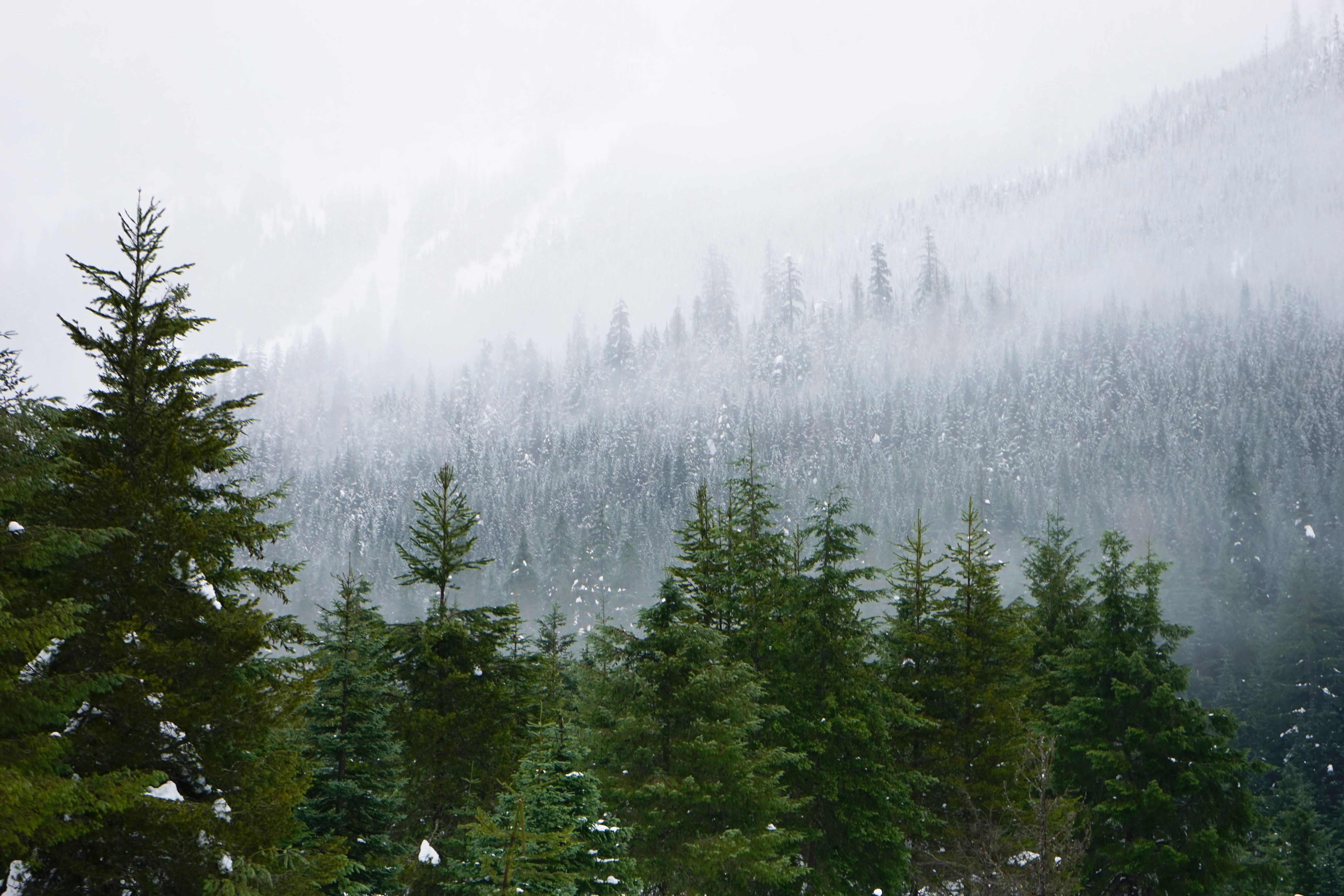 Gold Creek Pond (Snowshoe Route)