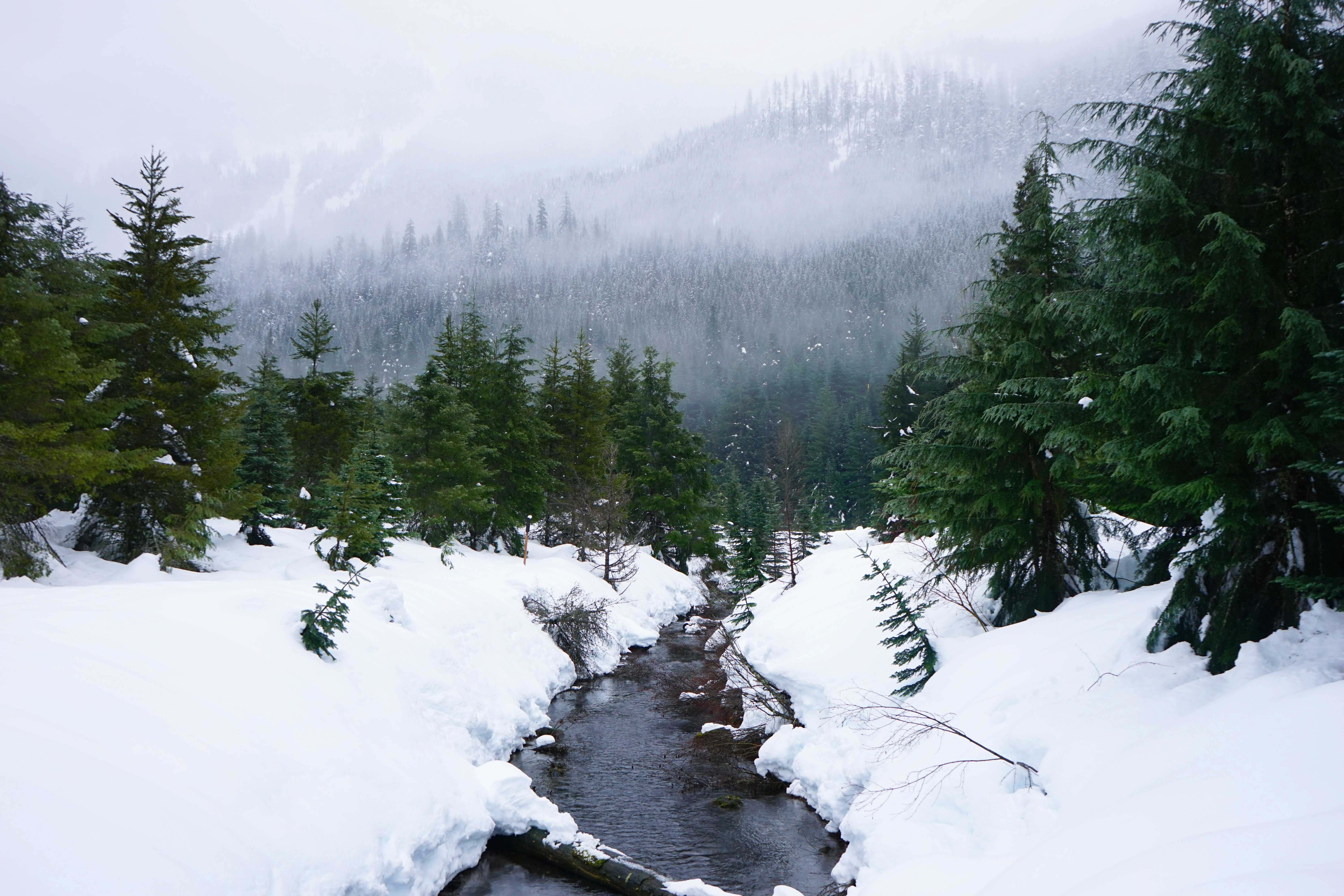 Gold Creek Pond (Snowshoe Route)