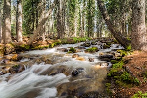 Fishhook Creek Trail