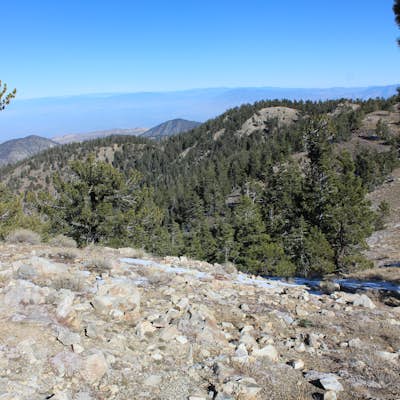 Hike to Conder Observatory (Mt. Piños) from the Nordic Ski Hut