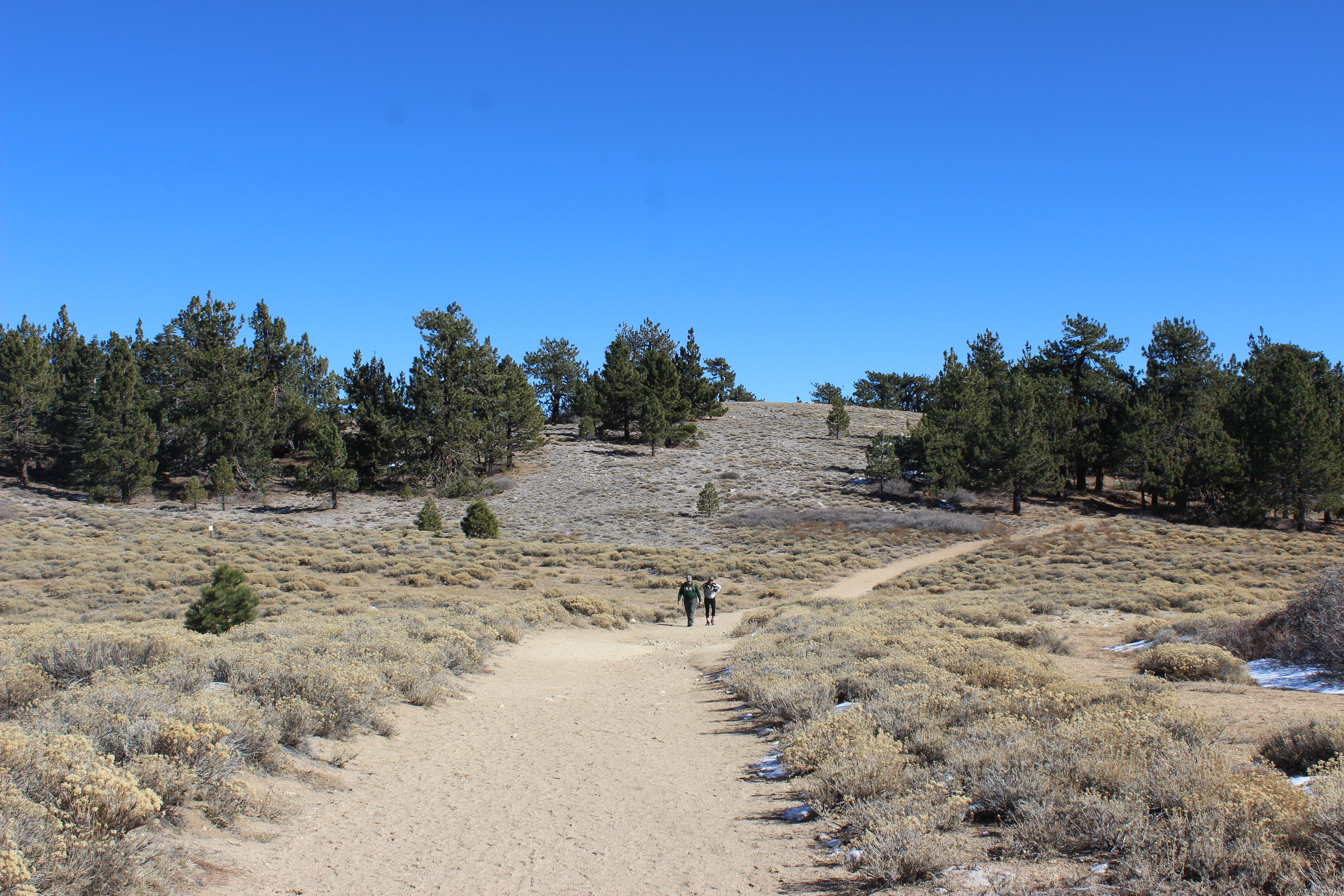 Hike to Conder Observatory (Mt. Piños) from the Nordic Ski Hut, Frazier