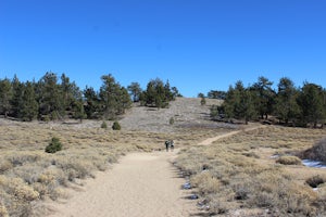 Hike to Conder Observatory (Mt. Piños) from the Nordic Ski Hut