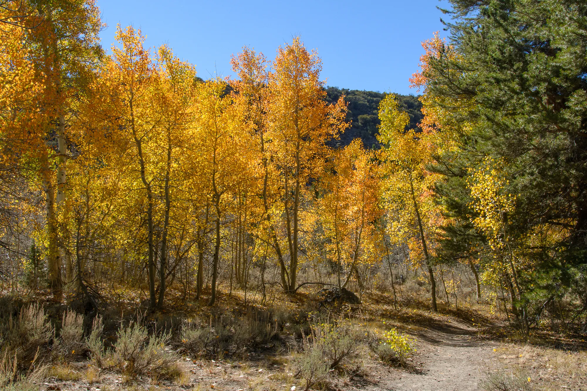 Parker Lake Trail