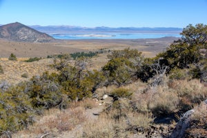 Parker Lake Trail