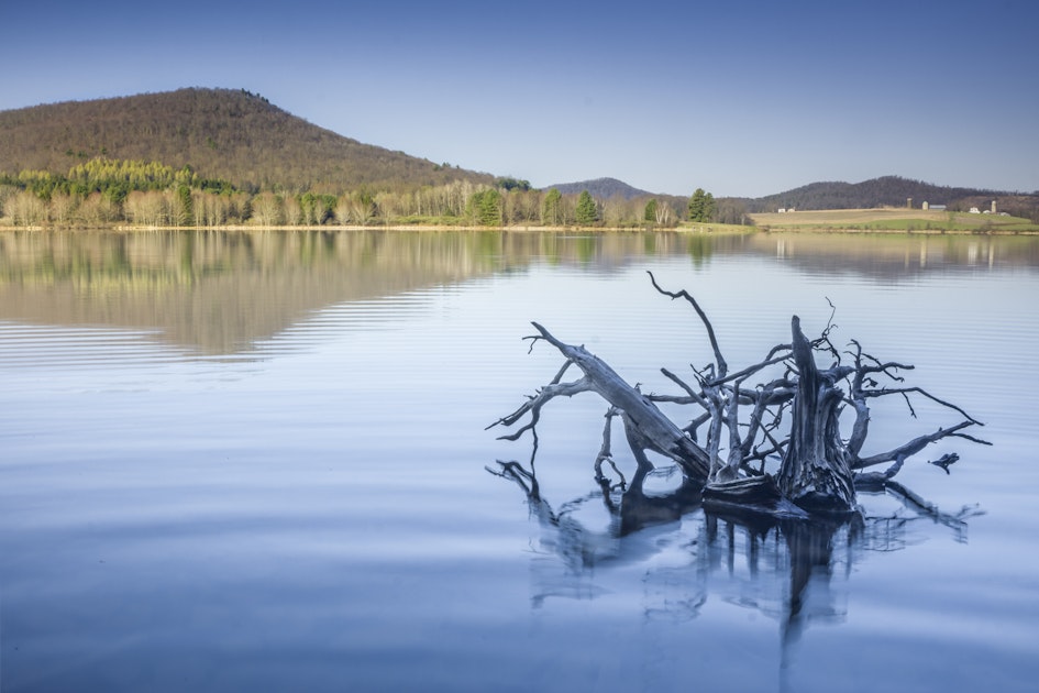 Fish at Rose Valley Lake, Trout Run, Pennsylvania