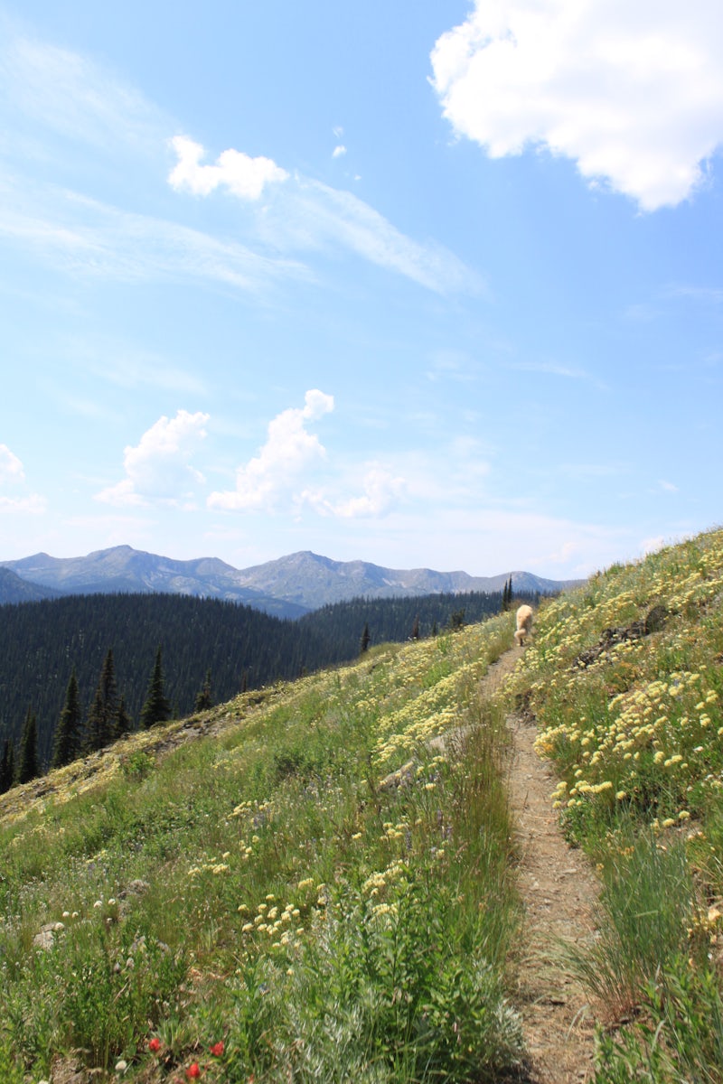 Photo of Backpack the Salmo-Priest Loop