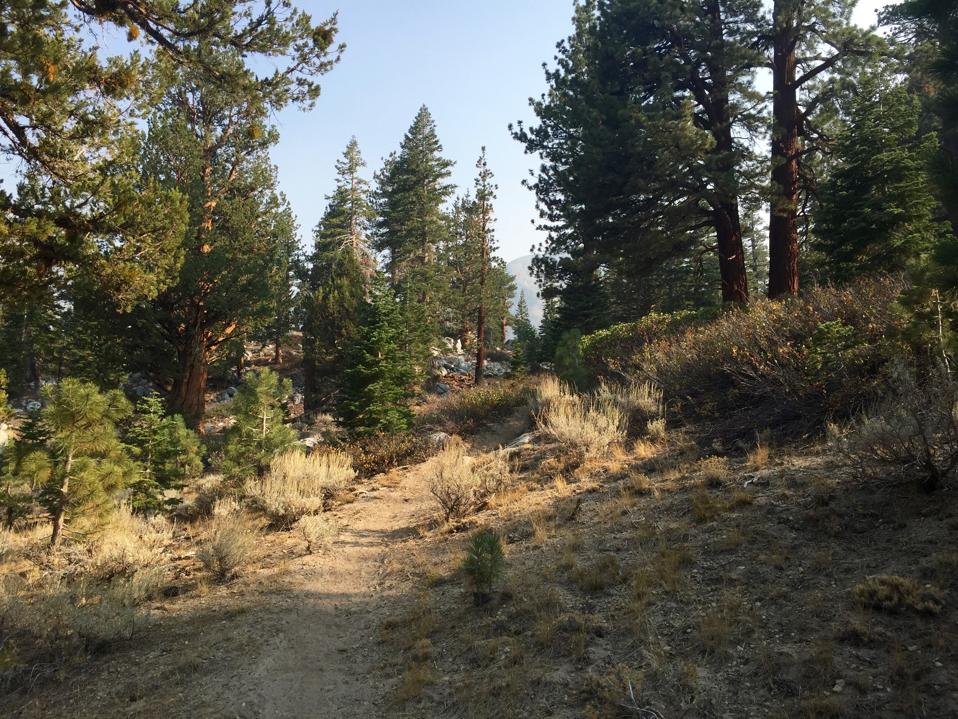 Valentine Lake via Sherwin Lakes Trail