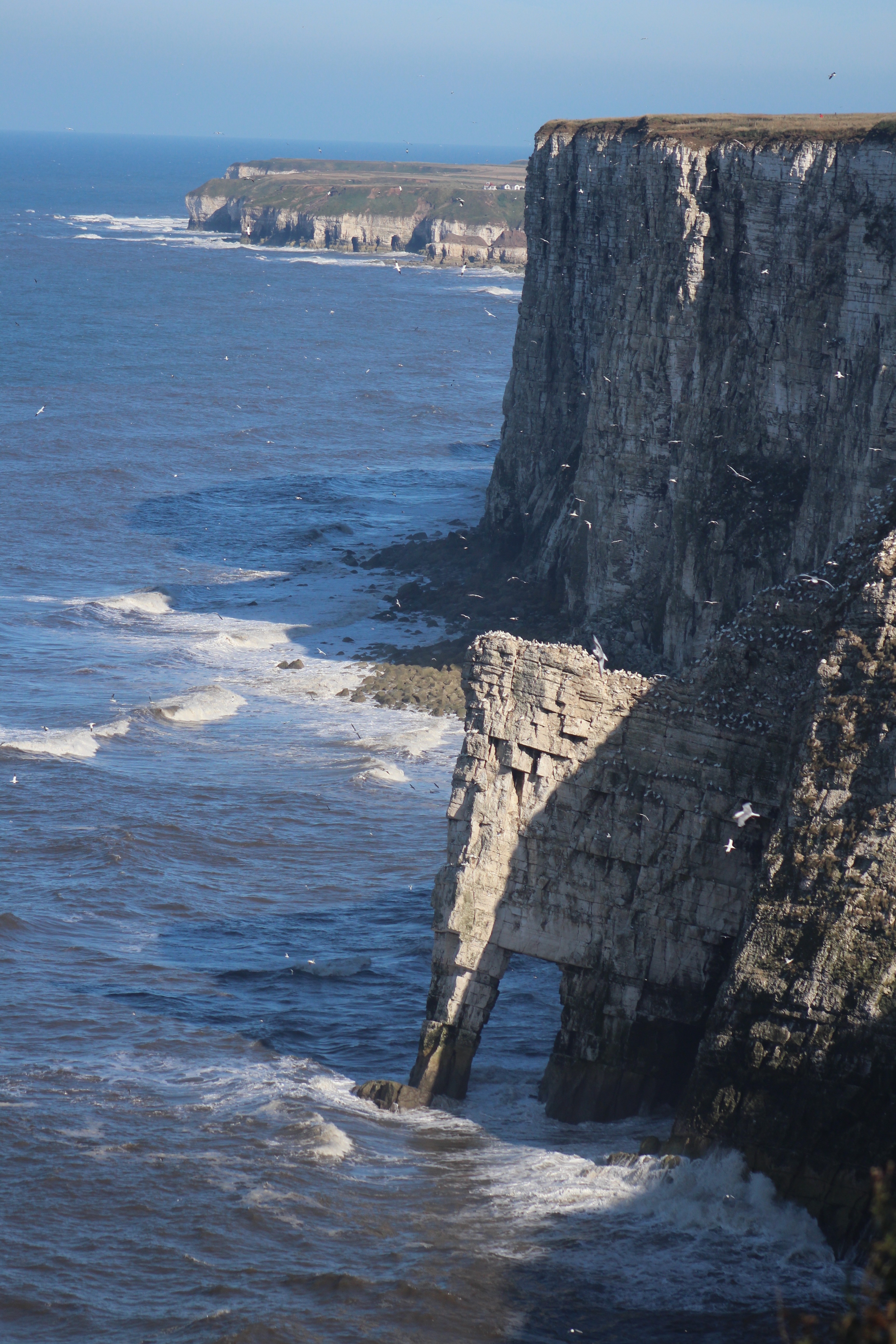 Explore the RSPB Bempton Cliffs