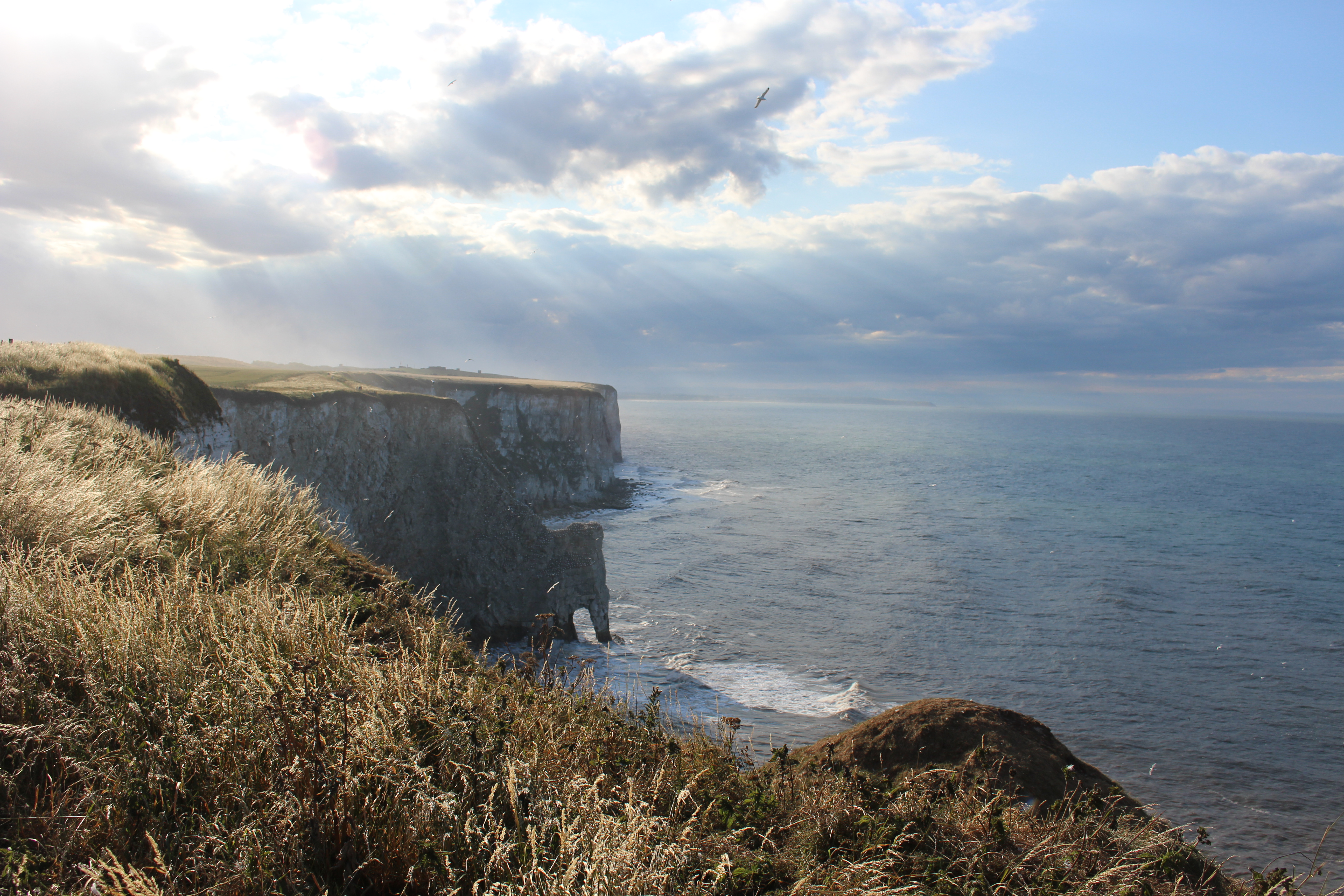 Explore The RSPB Bempton Cliffs, East Riding Of Yorkshire, United Kingdom