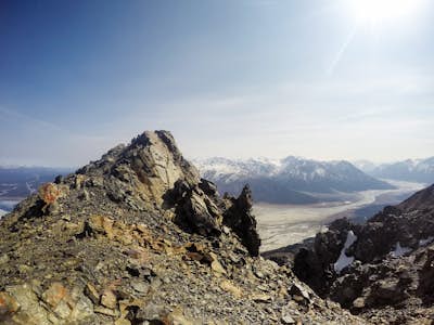 Summit Sheep Mountain (Tachäl Dhäl) in the Kluane Ranges
