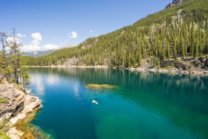 20 Stunning Photos To Convince You To Start Planning Your Summer Trip To Jasper NP 