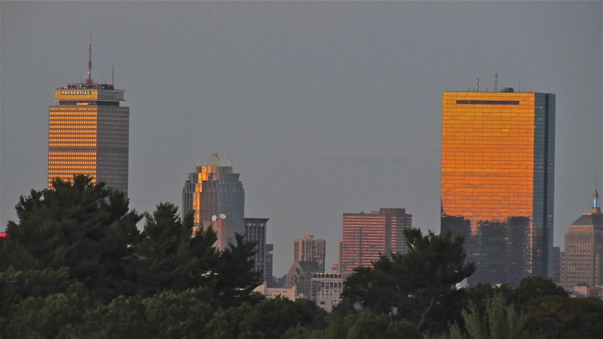 Run the Arnold Arboretum Trail