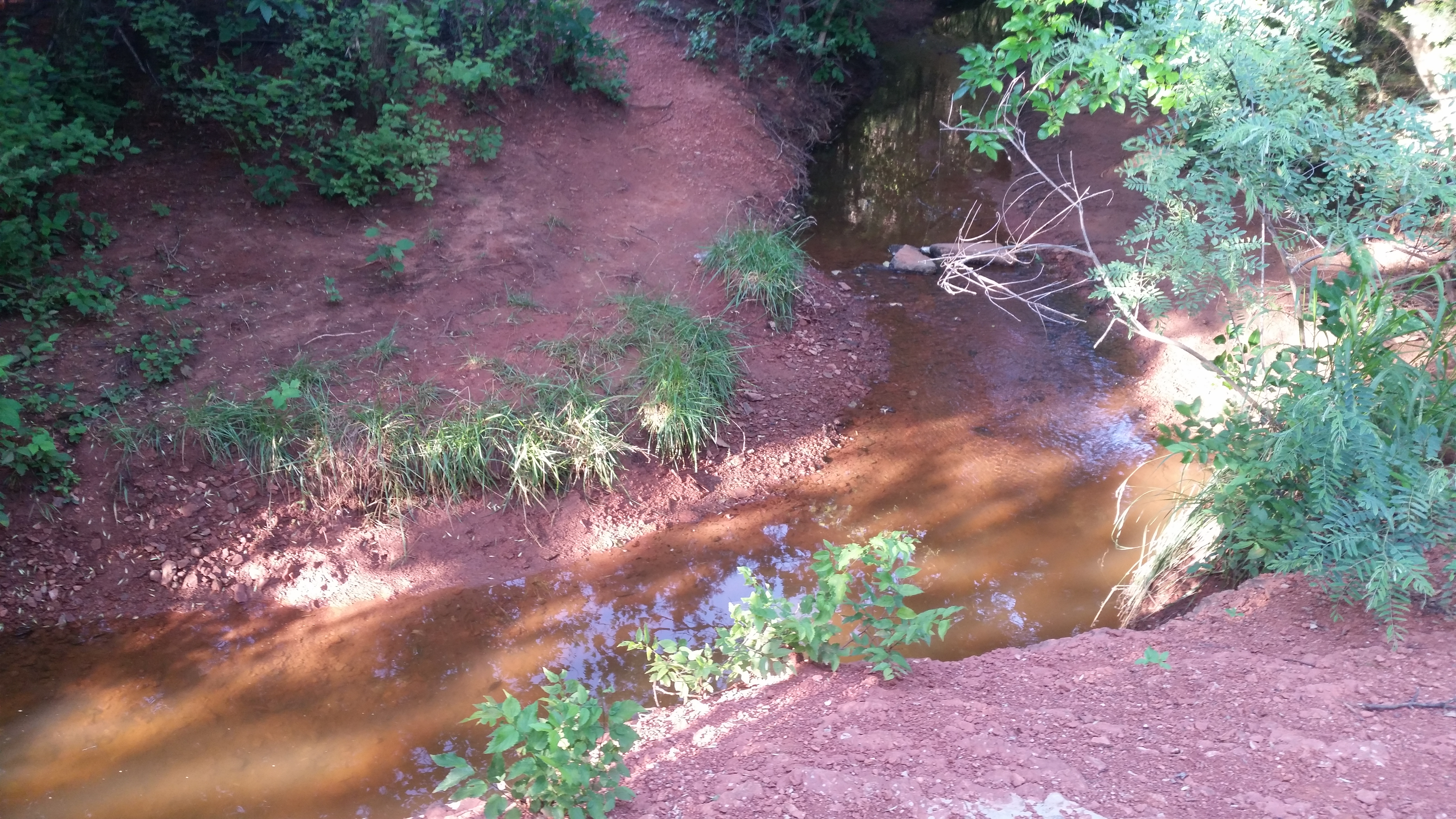 Run through Bluff Creek Park in Oklahoma City