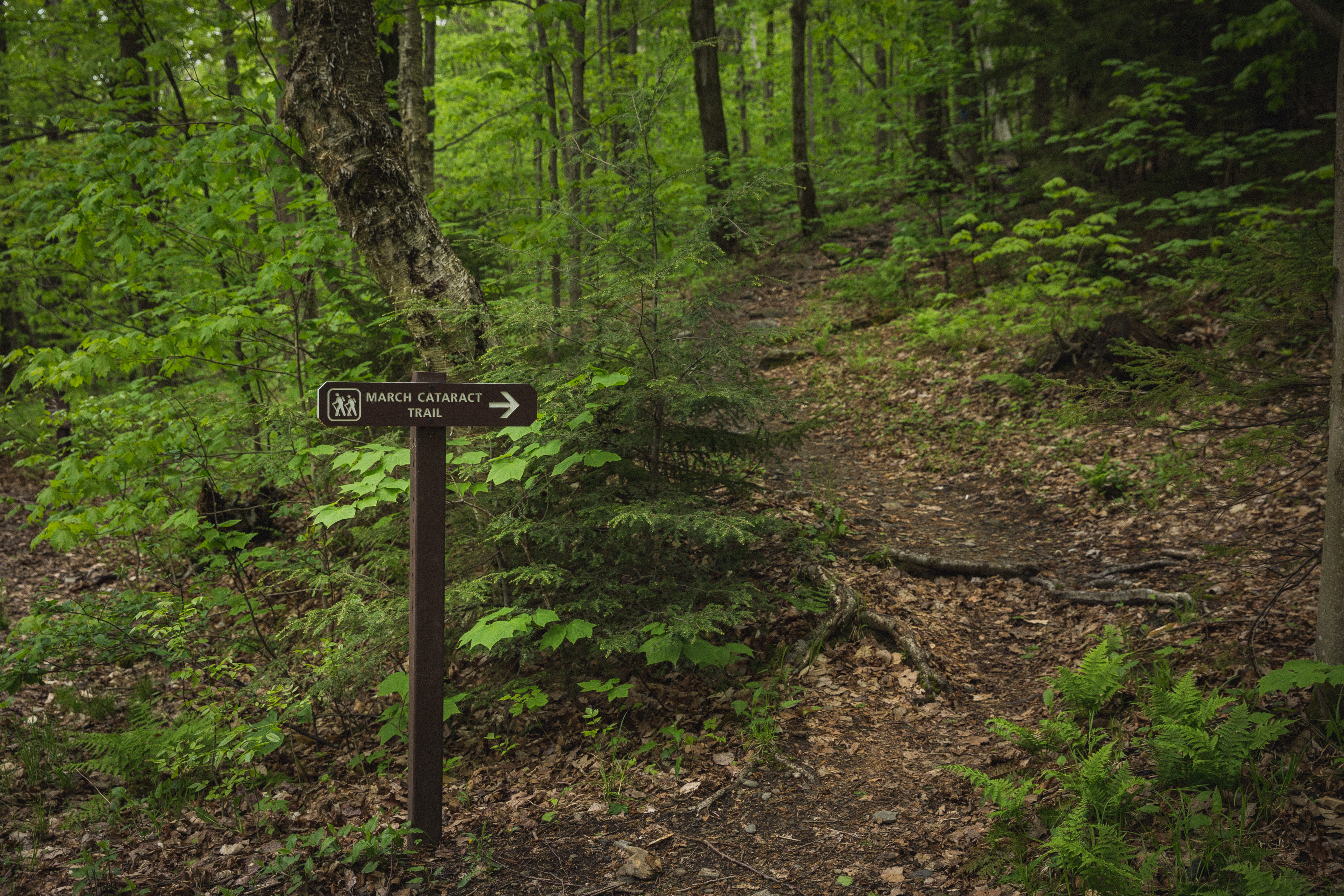Hike the March Cataract Falls Trail