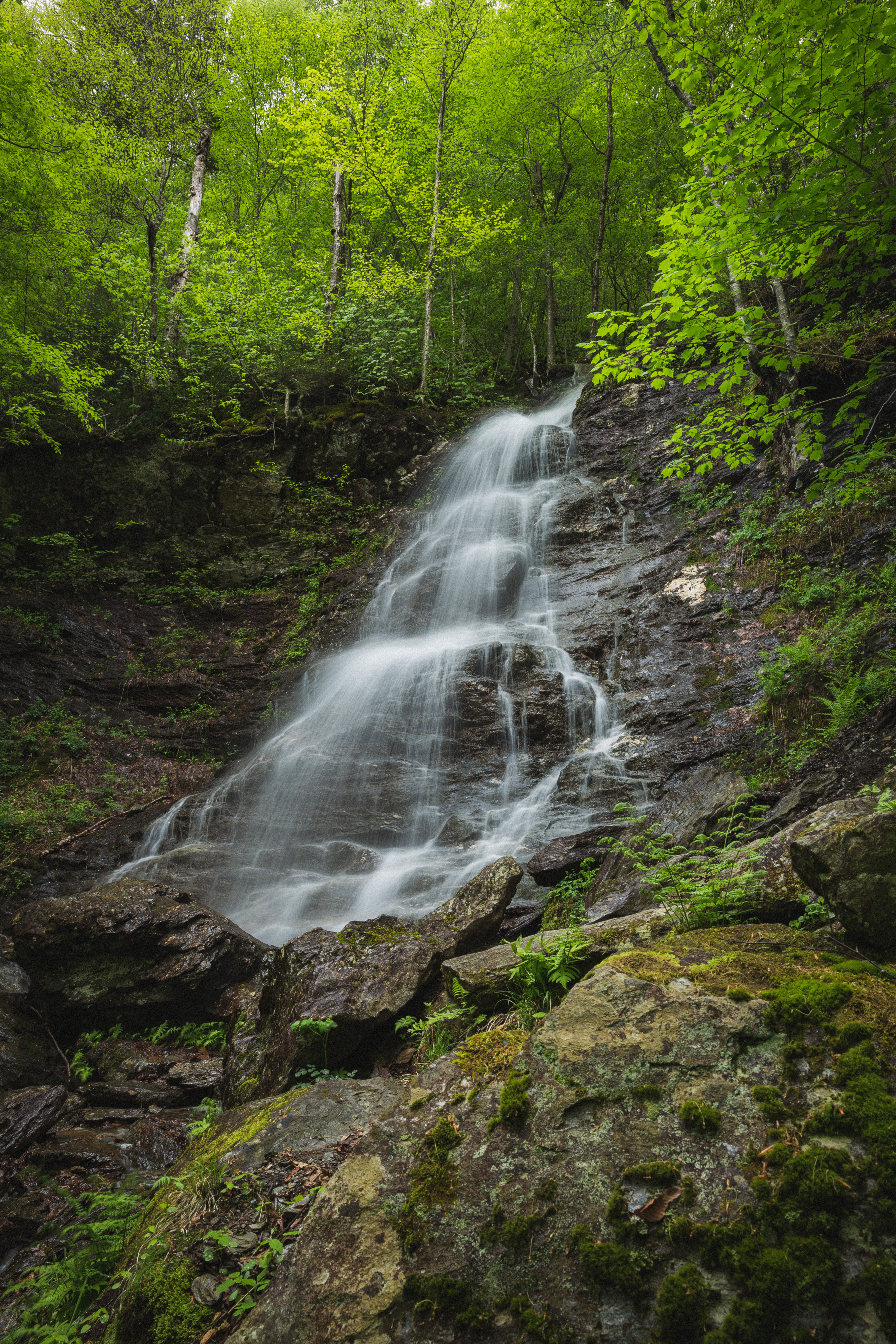 Hike the March Cataract Falls Trail
