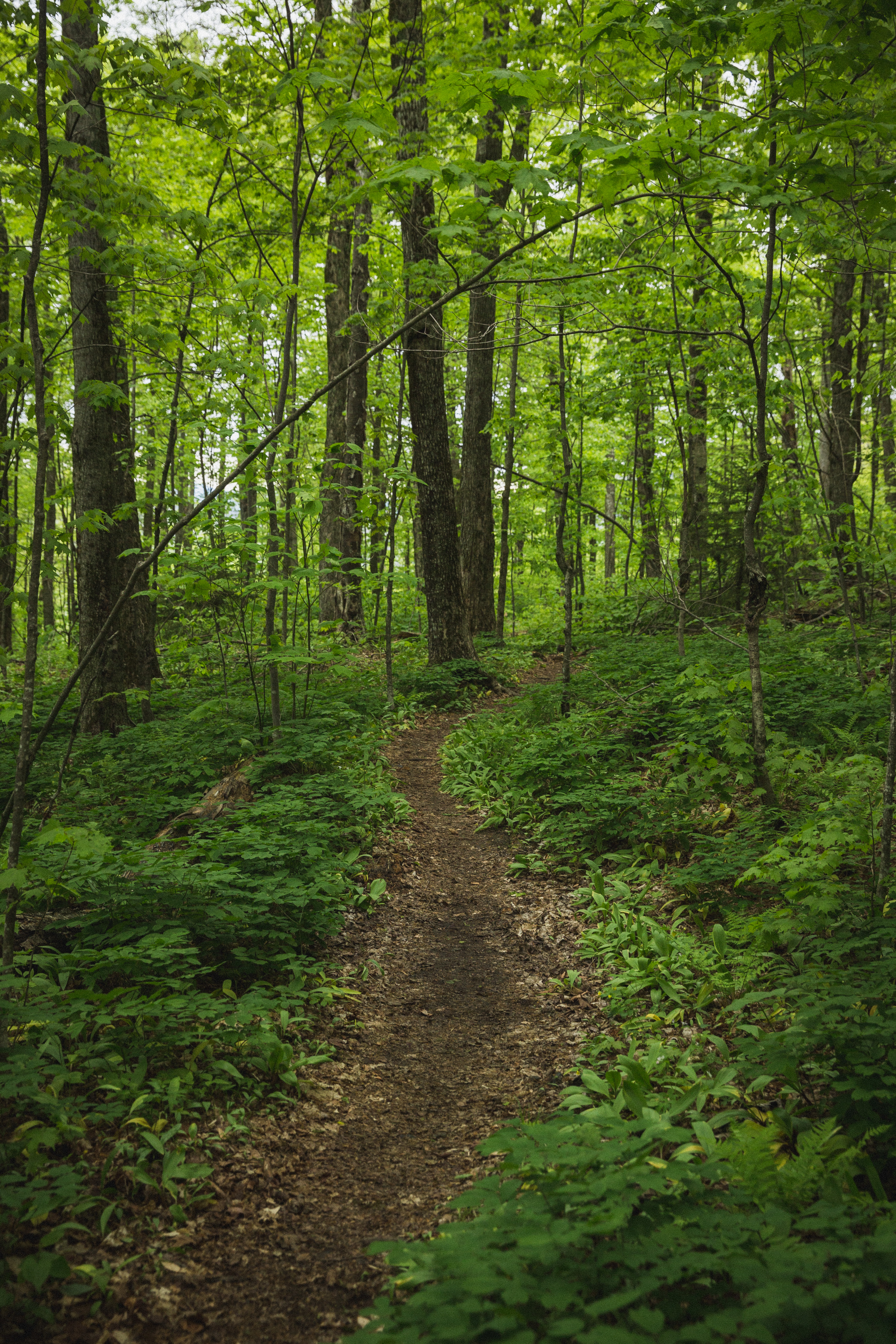 Hike the March Cataract Falls Trail