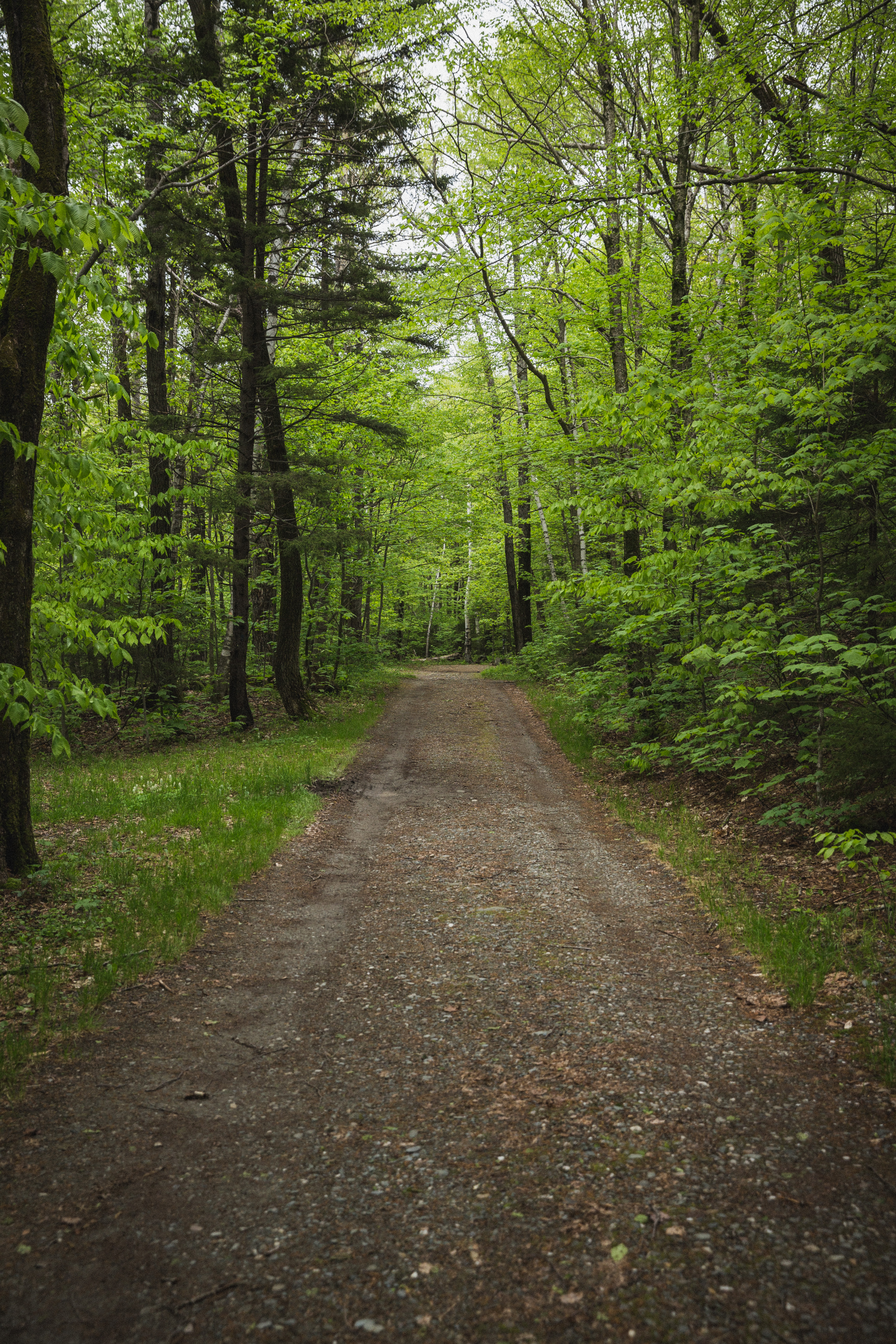 Hike the March Cataract Falls Trail