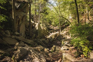 Hike the Purgatory Chasm Trail