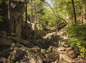 Hike the Purgatory Chasm Trail