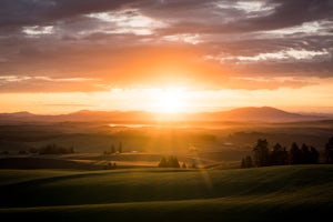 Visit Kamiak Butte Park