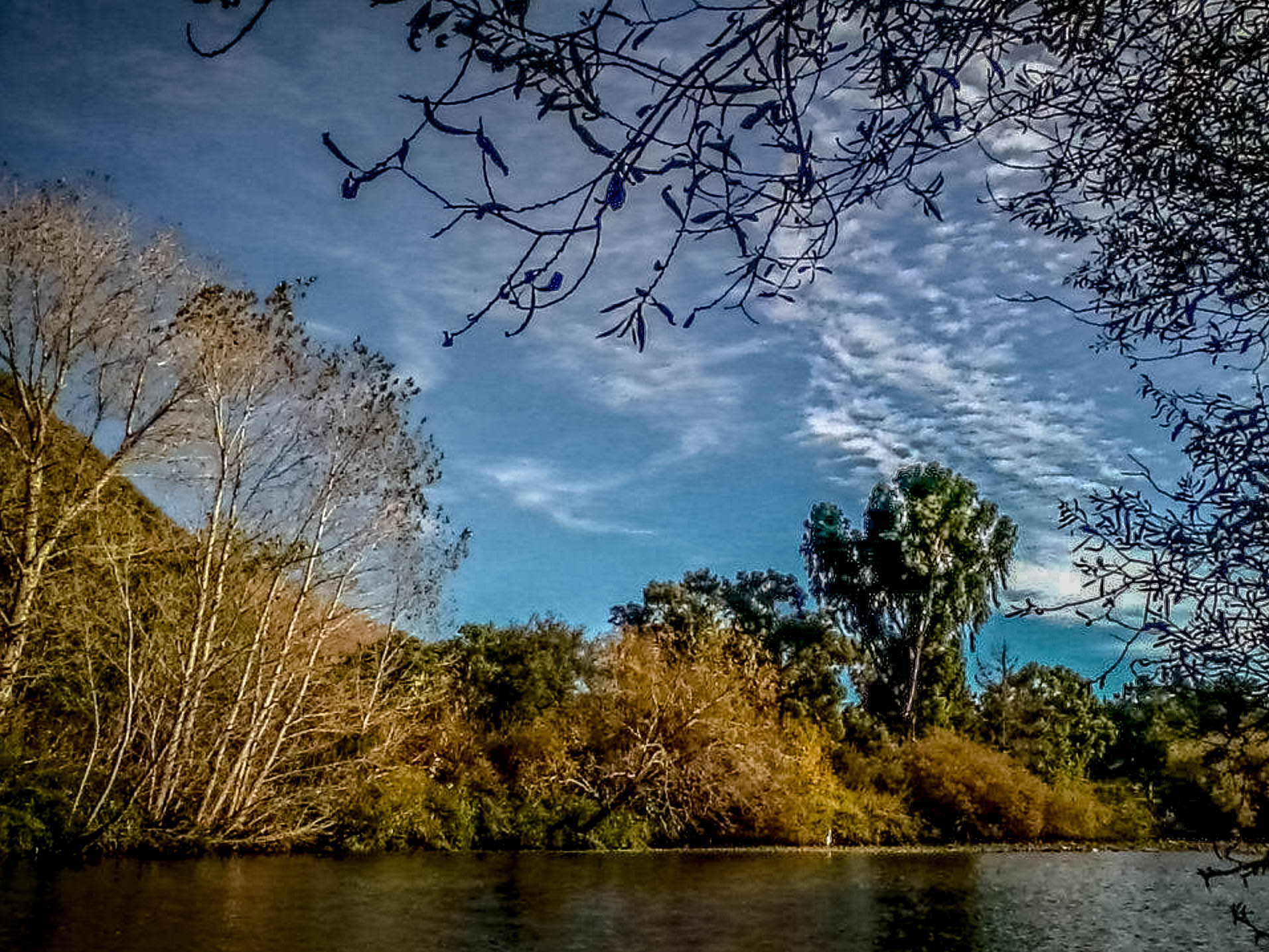 Bike or Run the Bob Jones Trail