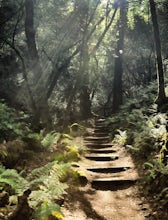 Hike Sugarloaf's Pony Gate-Canyon Loop