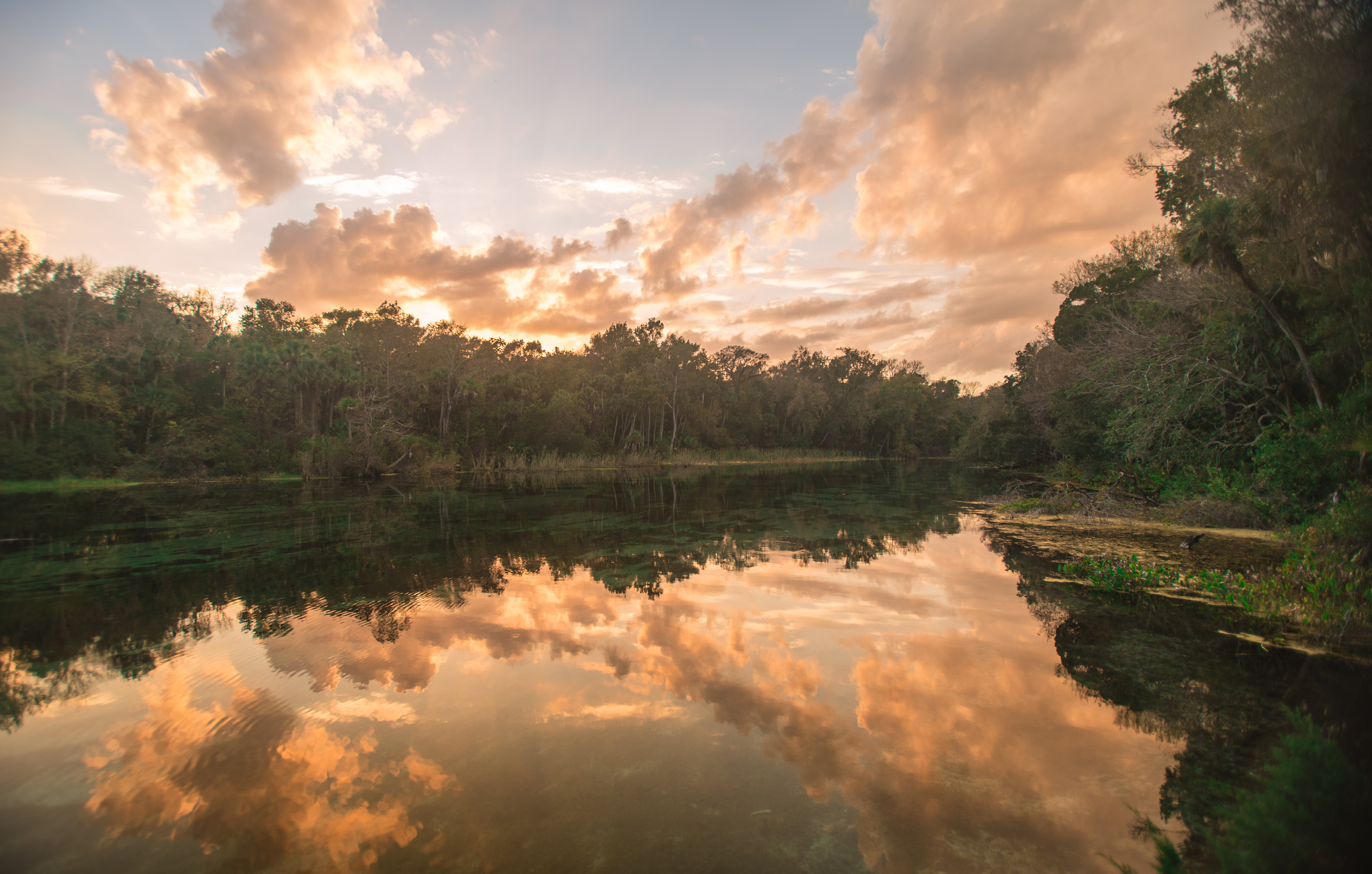 Alexander Springs