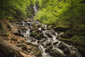 Hike Mt. Greylock via Money Brook Trail