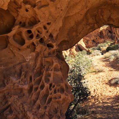 Hike Arch Trail to Babylon Arch