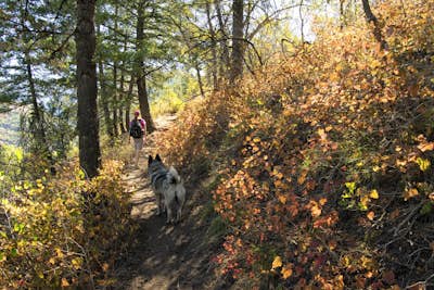 Hike the Skull Creek Trail of Causey Reservoir