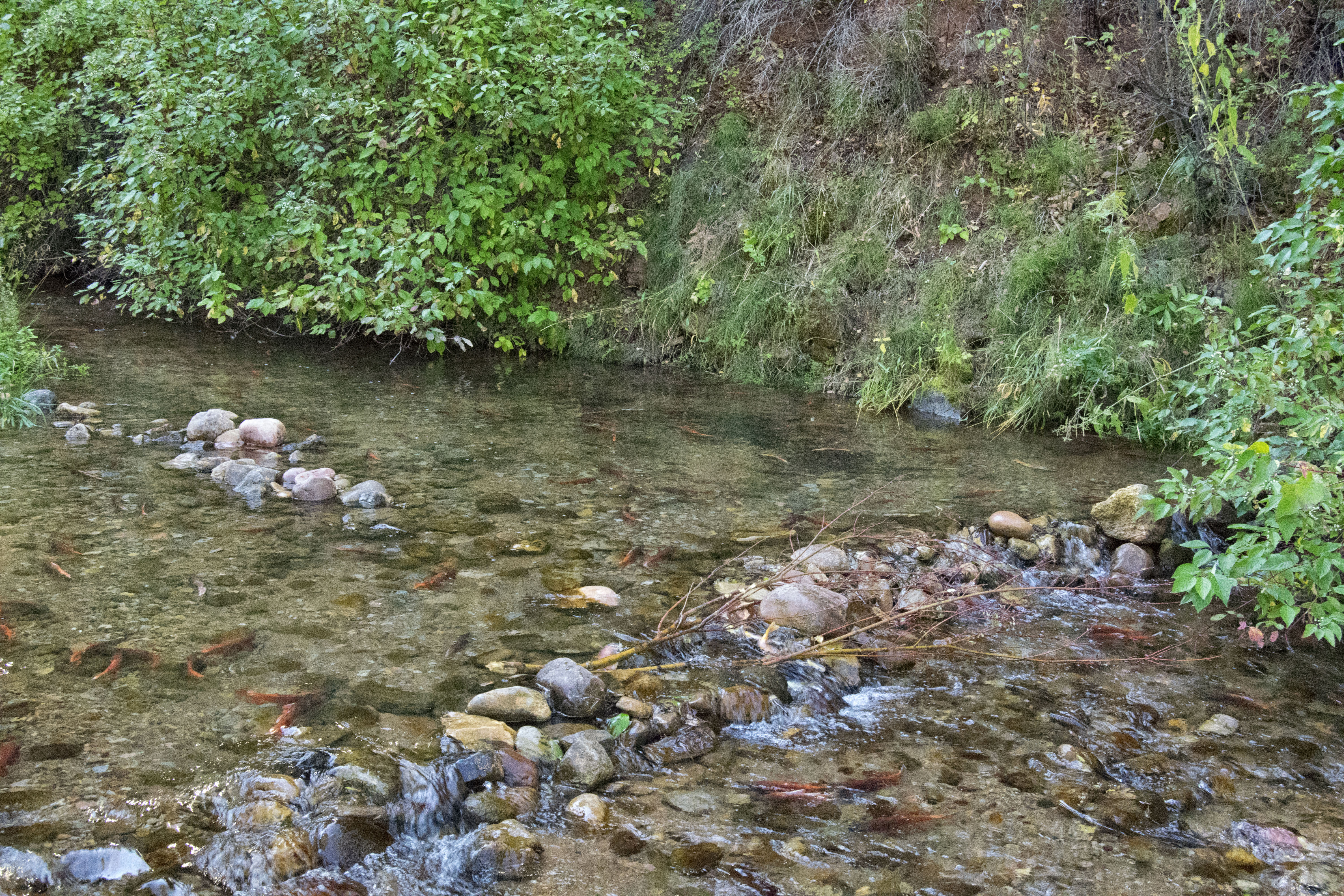 Hike the Skull Creek Trail of Causey Reservoir