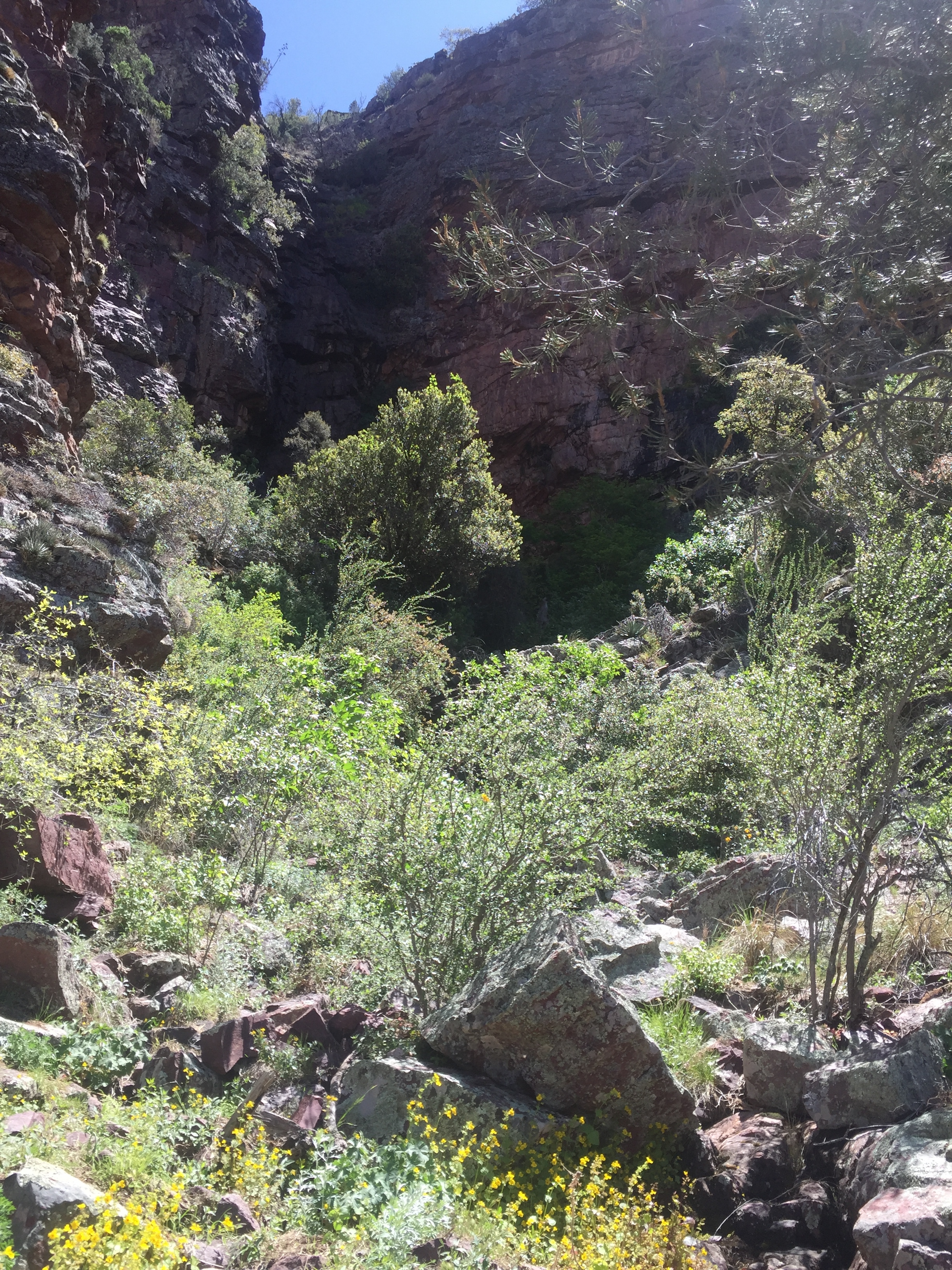 Hike Barnhardt Trail 
